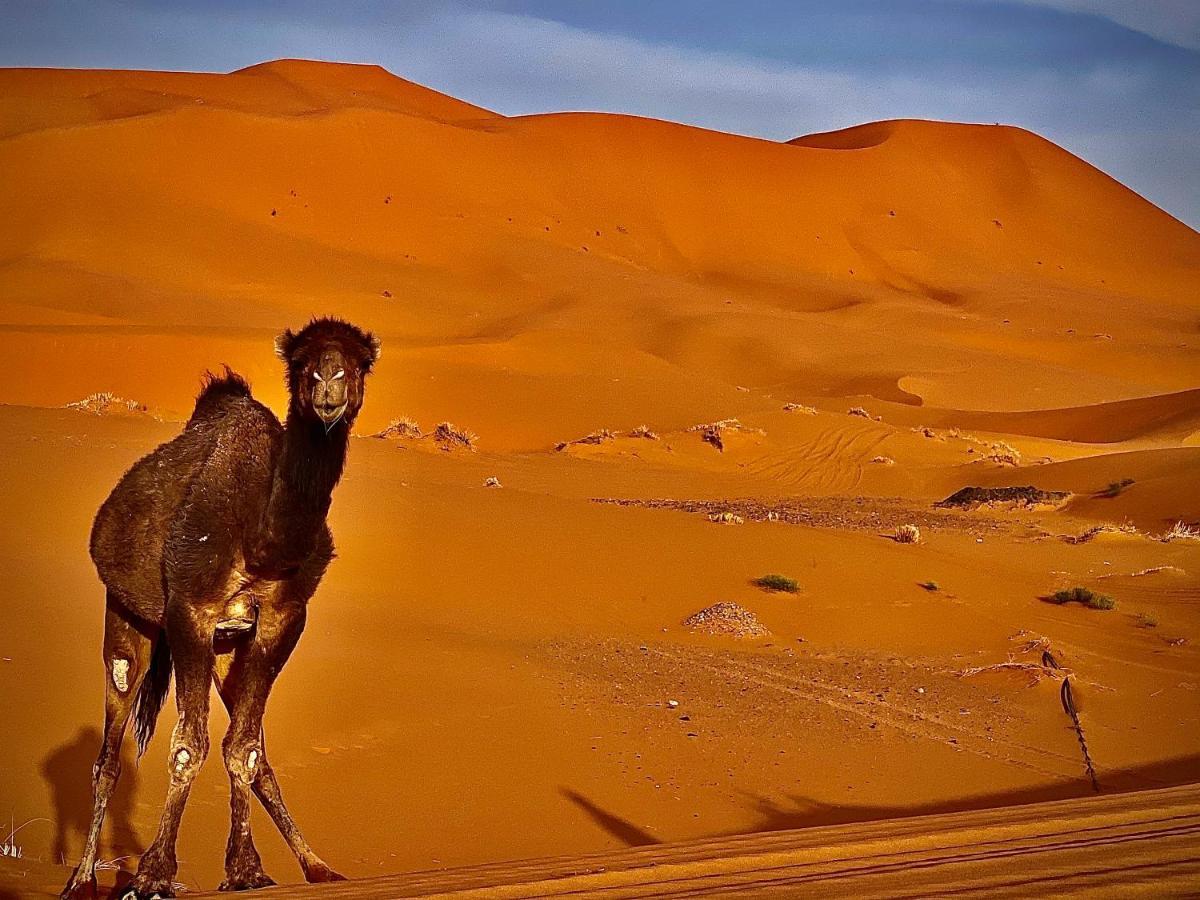 Your Berber Camp Merzouga Ngoại thất bức ảnh